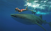 Cozumel Mexico